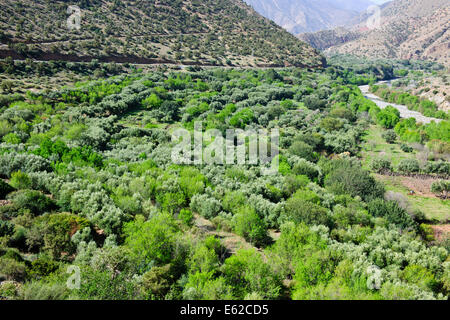 Viste mzouzite,villaggi ijoukak,valli,dighe,l'uomo fatto laghi,fiume nfiss,profonde gole del fiume,r203 sud,taroudant road,Marocco Foto Stock