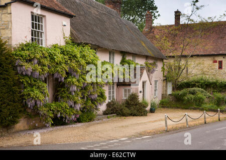 Regno Unito Inghilterra, Dorset, Marnhull, Burton Street, idilliaco wisteria appeso casa di villaggio Foto Stock