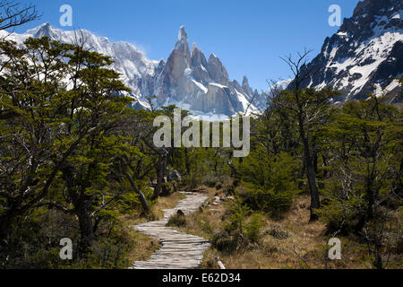 Sentiero per il Cerro Torre. Parco nazionale Los Glaciares. La Patagonia. Argentina Foto Stock