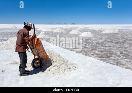 Lavoratore sale di raccolta. Salar de Uyuni. Bolivia Foto Stock