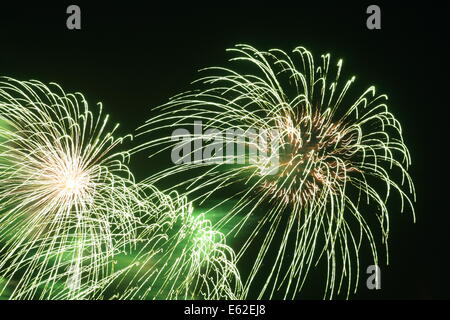 Il verde di fuochi d'artificio dal nazionale campionati di fuochi d'artificio. Foto Stock