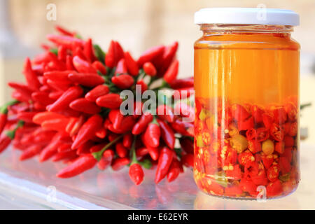 Red Hot peperoncino peperoni Foto Stock