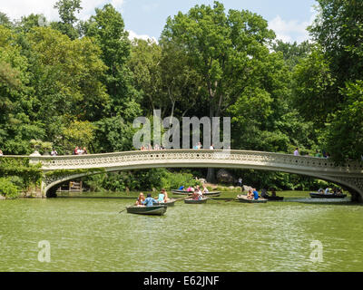 Acqua verde nel centro Parco Lago è causato dalla fioritura di alghe, NYC Foto Stock