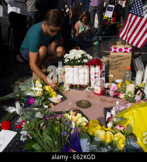 Los Angeles, Stati Uniti d'America. 12 Ago, 2014. Un uomo getta fiori a Robin Williams stella sulla Hollywood Walk of Fame in Hollywood, California, Stati Uniti, e il agosto 12, 2014. Stati Uniti Oscar comico Robin Williams è morto da un apparente suicidio di lunedì al suo California settentrionale home. Credito: Yang Lei/Xinhua/Alamy Live News Foto Stock