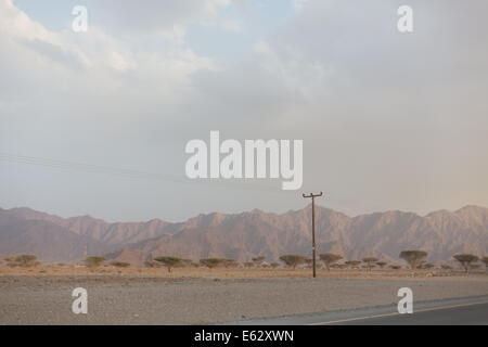 Paesaggio montuoso di Musandam, Dibba, Emirati Arabi Uniti Foto Stock