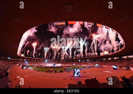 Zurigo, Svizzera. 12 Ago, 2014. Un fuochi d'artificio al primo giorno del Campionato Europeo di Atletica in Letzigrund a Zurigo, Svizzera, 12 agosto 2014. Foto: Rainer Jensen/dpa/Alamy Live News Foto Stock