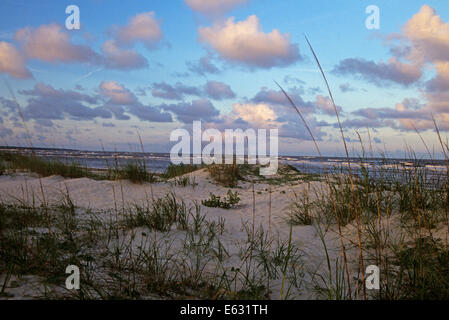 Le dune di sabbia e l'oceano ST. SIMONS GEORGIA USA Foto Stock