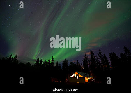 Tende di polare settentrionale e luci cabina illuminati, tenda a parete, vicino a Whitehorse, Yukon Territory, Canada Foto Stock