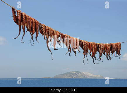 Polpi appesi ad asciugare su una linea di lavaggio, Mandrachi, Kos, Grecia Foto Stock