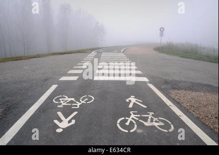 Luzzara (Reggio Emilia) pista ciclabile sulla sponda del fiume Po Foto Stock
