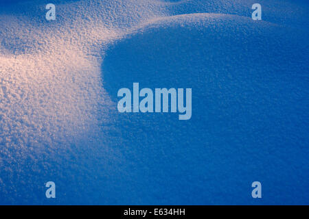 La mattina presto di luce che cade su neve fresca coperta. Foto Stock