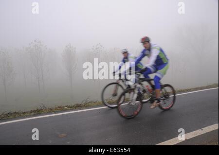 Luzzara (Reggio Emilia) pista ciclabile sulla sponda del fiume Po Foto Stock