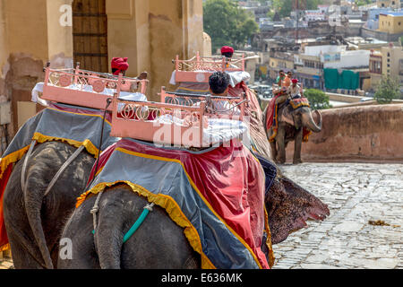 Jaipur, India - Giugno 2014: elephant al Forte Amber, magnifico palazzo fortificato vicino a Jaipur. Questo maharajah residence Foto Stock