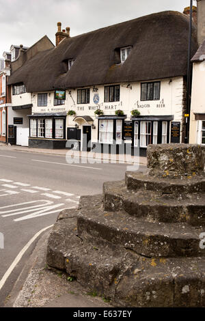 Regno Unito Inghilterra, Dorset, Stuminster Newton, Old Market Cross base e White Hart pub Foto Stock