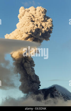 Vulcano Tungurahua in Ecuador grande fungo esplosione del Cloud Foto Stock