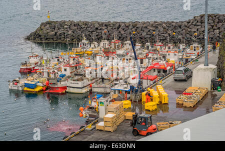 Arnarstapi Harbour, Snaefellsnes Peninsula, Islanda Foto Stock