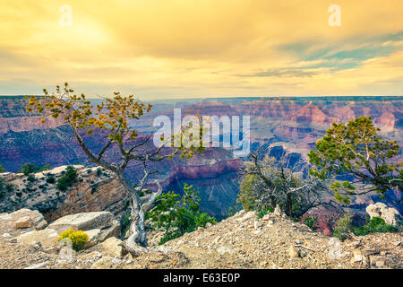 La luce del mattino al Grand Canyon, Arizona, Stati Uniti d'America Foto Stock