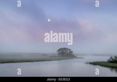 Luna, Foggy sera, Lago Myvatn, Nord Islanda Foto Stock