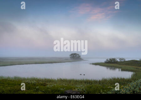 Serata di nebbia, Lago Myvatn, Nord Islanda Foto Stock