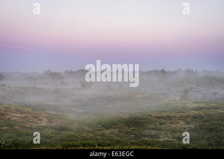 Serata di nebbia, Lago Myvatn, Nord Islanda Foto Stock