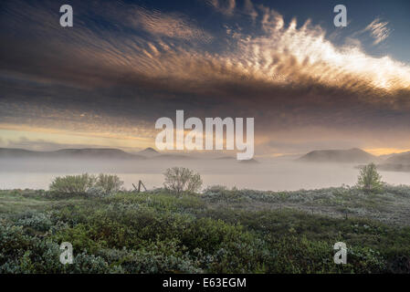 Serata di nebbia, Lago Myvatn, Nord Islanda Foto Stock