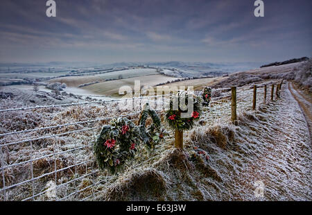 Trasformata per forte gradiente Frost, South Downs, Hampshire Foto Stock