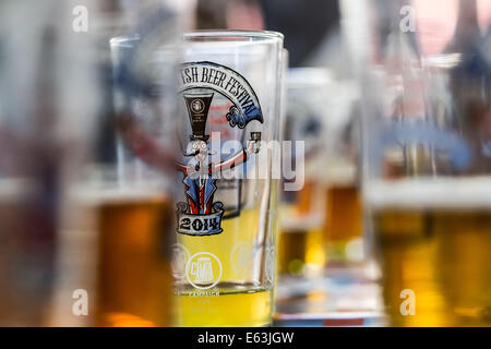 Londra, Regno Unito. 13 Ago, 2014. Il Great British Beer Festival presso il centro espositivo Olympia. Ogni anno il festival della birra organizzato dalla campagna per Real Ale che presenta una selezione di oltre 900 real ale, sidri, perries e di altre bevande alcoliche provenienti dal Regno Unito e in tutto il mondo. Credito: Guy Corbishley/Alamy Live News Foto Stock