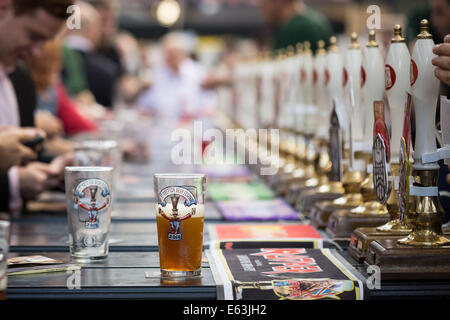 Londra, Regno Unito. 13 Ago, 2014. Il Great British Beer Festival presso il centro espositivo Olympia. Ogni anno il festival della birra organizzato dalla campagna per Real Ale che presenta una selezione di oltre 900 real ale, sidri, perries e di altre bevande alcoliche provenienti dal Regno Unito e in tutto il mondo. Credito: Guy Corbishley/Alamy Live News Foto Stock