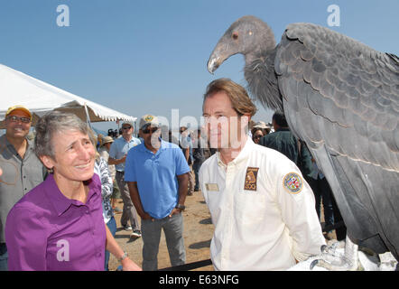 San Diego, California, Stati Uniti d'America. 13 Ago, 2014. Il Segretario degli Interni Sally Jewell interagisce con un immaturo California Condor durante una visita a San Diego National Wildlife Refuge dove ha annunciato che il San Diego National Wildlife Refuge complesso avrebbe ricevuto un supplemento di $ 1 milioni di euro in finanziamenti per raggiungere un nuovo pubblico e innestare la California del Sud comunità urbane e la gioventù nella conservazione e attività ricreative all'aperto. Il rifugio è il primo tra la nazione urbana della National Wildlife rifugi per ricevere questo nuovo premio attraverso un concorso nazionale. Il rifugio la proposta vincente, th Foto Stock