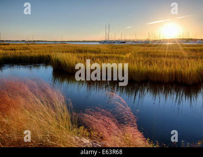 Regolazione del sole sopra il fiume Ashley in Charleston, Carolina del Sud Foto Stock