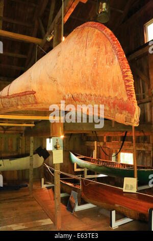 Oceano Penobscot canoa, Abenaki Ekwiten, Penobscot museo marino, Searsport, Maine, Stati Uniti d'America Foto Stock