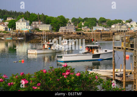 Stonington Harbor, Maine, Stati Uniti d'America Foto Stock