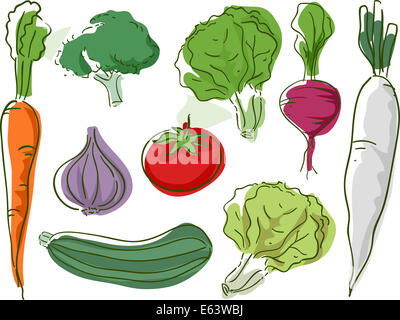 Sketchy illustrazione con differenti tipi di verdura Foto Stock