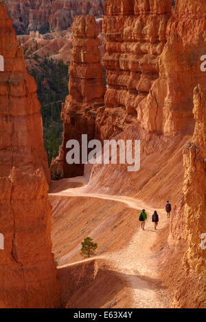 Gli escursionisti su Navajo loop trail attraverso hoodoos, Parco Nazionale di Bryce Canyon, Utah, Stati Uniti d'America Foto Stock