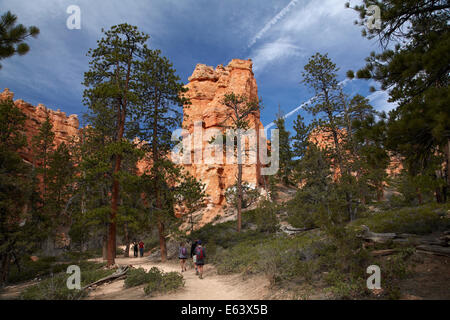 Gli escursionisti su Queen's Garden Trail attraverso hoodoos, Parco Nazionale di Bryce Canyon, Utah, Stati Uniti d'America Foto Stock