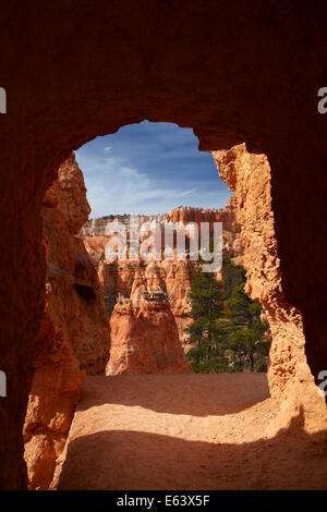 Tunnel su Queen's Garden Trail attraverso hoodoos, Parco Nazionale di Bryce Canyon, Utah, Stati Uniti d'America Foto Stock