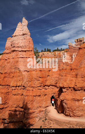 Escursionista e tunnel su Queen's Garden Trail attraverso hoodoos, Parco Nazionale di Bryce Canyon, Utah, Stati Uniti d'America Foto Stock