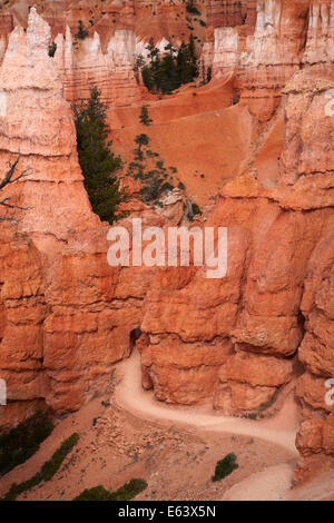 Tunnel su Queen's Garden Trail attraverso hoodoos, Parco Nazionale di Bryce Canyon, Utah, Stati Uniti d'America Foto Stock