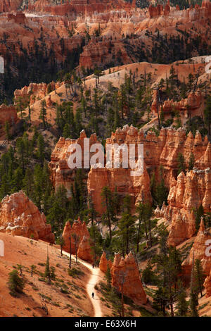 Gli escursionisti su Queen's Garden Trail attraverso hoodoos, Parco Nazionale di Bryce Canyon, Utah, Stati Uniti d'America Foto Stock