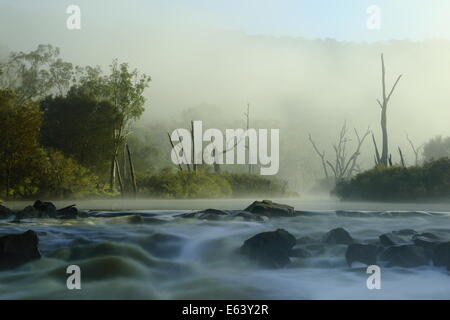 La nebbia avvolge il fiume Avon, vicino Toodyay, Western Australia. Foto Stock