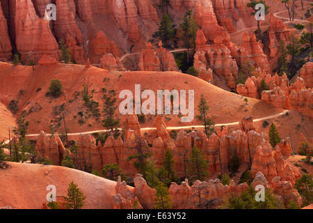 Queen's Garden Trail attraverso hoodoos, Parco Nazionale di Bryce Canyon, Utah, Stati Uniti d'America Foto Stock