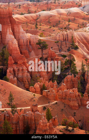 Gli escursionisti su Queen's Garden Trail attraverso hoodoos, Parco Nazionale di Bryce Canyon, Utah, Stati Uniti d'America Foto Stock