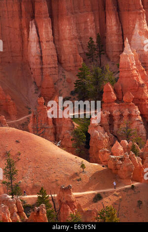 Gli escursionisti su Queen's Garden Trail attraverso hoodoos, Parco Nazionale di Bryce Canyon, Utah, Stati Uniti d'America Foto Stock