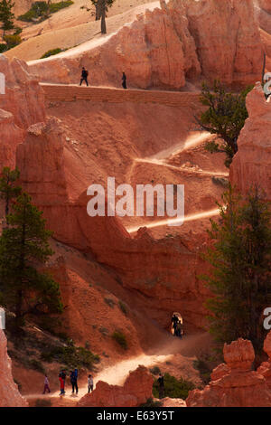 Gli escursionisti e tunnel su Queen's Garden Trail attraverso hoodoos, Parco Nazionale di Bryce Canyon, Utah, Stati Uniti d'America Foto Stock