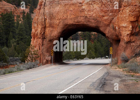 Tunnel sulla Scenic Byway 12, vicino al Red Canyon, Dixie National Forest, Utah, Stati Uniti d'America Foto Stock