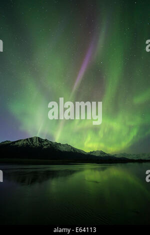 Aurora boreale, Chugach Range, Knik River Valley, Alaska, STATI UNITI D'AMERICA Foto Stock