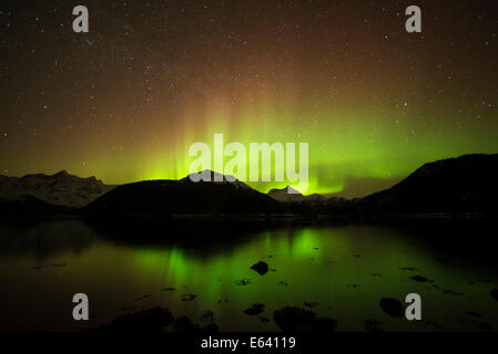 Aurora boreale illumina il Chugach Range, Barry braccio, Prince William Sound, Alaska, STATI UNITI D'AMERICA Foto Stock