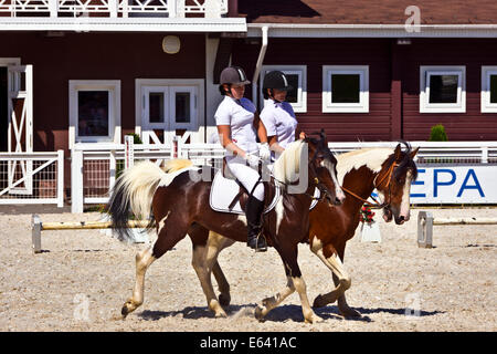 Coppia di pinto cavalli colorati con femmina piloti al Groumant Horse Show il 12 giugno 2014 a Tula, Federazione russa. Foto Stock