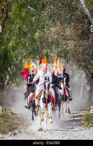 Marwari Horse. Attaccare Rajputs in al galoppo. India Foto Stock