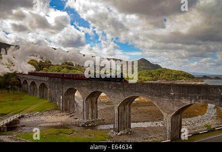 Giacobita treno a vapore, attraversando Loch nan Uamh viadotto, Lochaber Scozia UK Europa Foto Stock